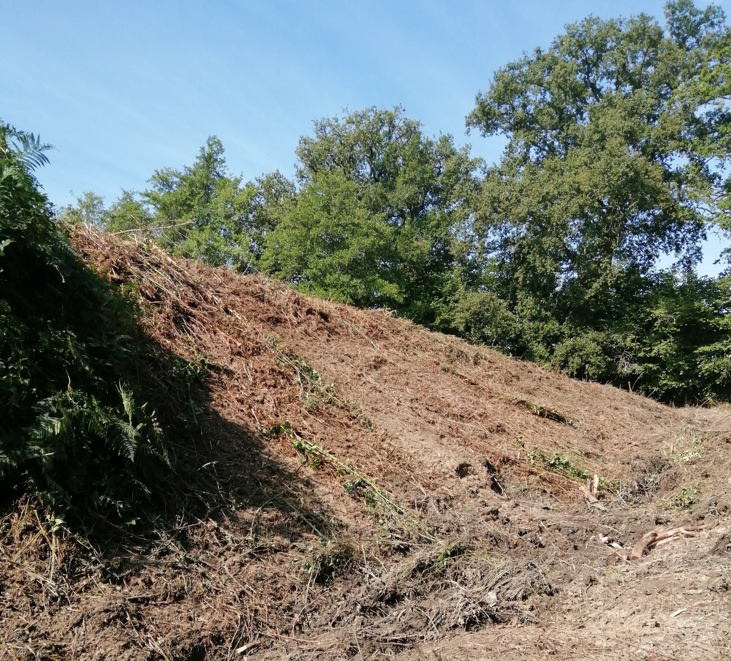 Etang en Creuse (23) – chantier en cours